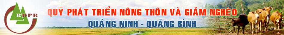 Banner tiếng Việt